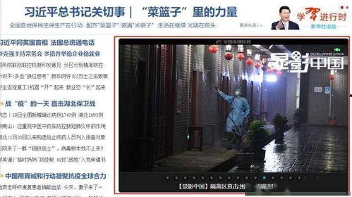 藏龙岛今日爆料,神秘事件揭开神秘面纱 第3张 藏龙岛今日爆料,神秘事件揭开神秘面纱 第3张